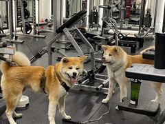 -YCHL Studios健身工作室(市二宫店)