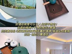 -西双版纳原始森林公园