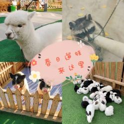 -萌宠亲子动物乐园(槐房万达店)