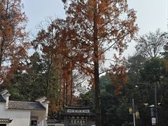 -白鹿洞书院