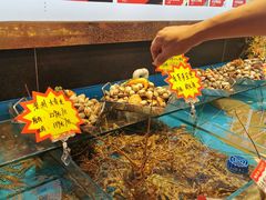 -必点海鲜·鲅鱼水饺(鞍山西道店)