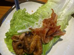 -红辣椒八爪鱼特色韩国料理