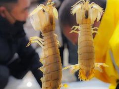 -蓝珊海鲜澳洲和牛自助餐厅