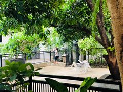 -TrueLove @ Neverland (Husky Cafe)