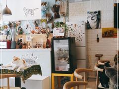 -平行世界·猫咖(首经贸店)