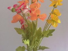 -咊记茅草棚柴火鸡(乌当店)