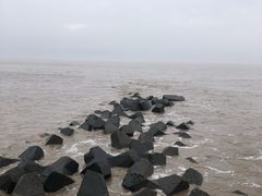 -南汇嘴观海公园