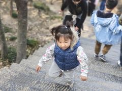 -紫金山山顶公园