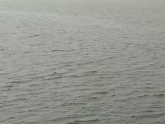 -焦岗湖旅游度假区
