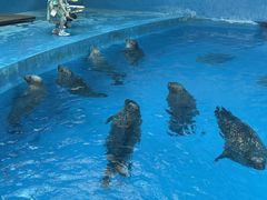 -海合安成都极地海洋公园