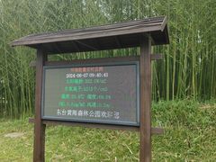-黄海国家森林公园