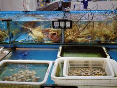 -先锋海鲜市场