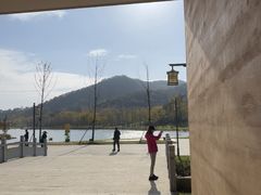 -千年银杏谷文化旅游区
