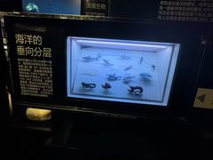 -同济大学四平路校区深海探索馆