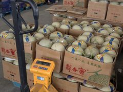 -东方鼎信农副产品交易中心