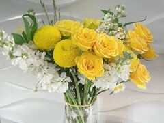 -植物学家的女儿(北马道巷店)