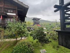 -大唐贡茶院
