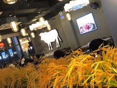 -小肥牛潮汕牛肉火锅(南联店)