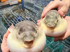 -大潮淮·淮扬菜(何园旗舰店)