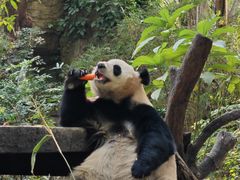 -广交会威斯汀酒店