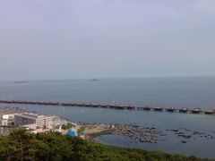 -星海湾跨海大桥