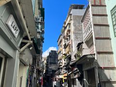-洪馨椰子