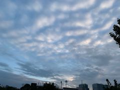 -四川大学(望江校区)