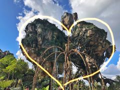 -奥兰多迪士尼动物王国乐园