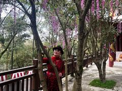 -潜山国家森林公园