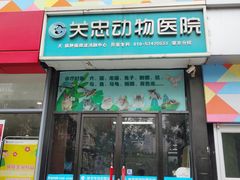-瑞派·关忠动物医院·异宠专科·犬猫肿瘤·皮肤专科(望京店)