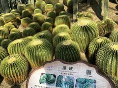 -南山植物园