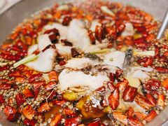 水煮鱼-红菜坊·烤鸭·川鲁菜·老二中店