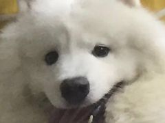-黄金海岸水上乐园