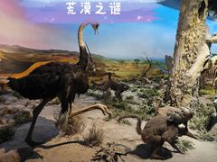 -国家自然博物馆