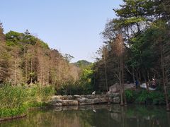 -云溪植物园
