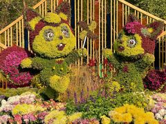 -上海共青森林公园