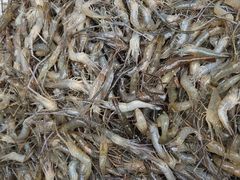 -茅山风味馆