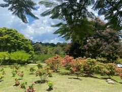 -中国科学院西双版纳热带植物园
