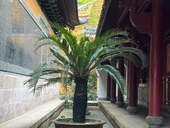 -普陀山风景名胜区-千步大沙