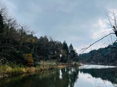 -四明山国家森林公园