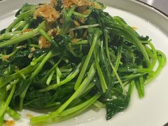 蒜蓉鸡毛菜-雲蜀龙阁·金牌水煮鱼(方庄店)