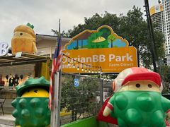 -榴莲BB 四季果园