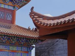 -长沙黑麋峰国家森林公园