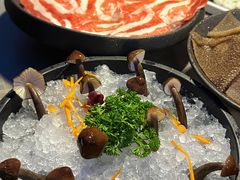 -故里和山·成都火锅(欢乐港湾店)