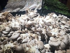 -谊品生鲜折扣店(伟清中环店)