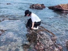 -西涌国际滨海旅游区