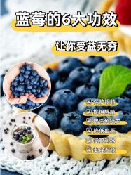 -雅曼妮spa美容养生