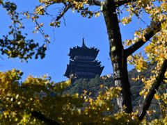 -杭州半山国家森林公园