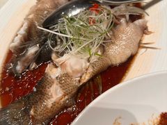 -洋洋中餐馆·SINCE 1997(信投店)