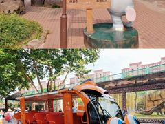 -上海野生动物园